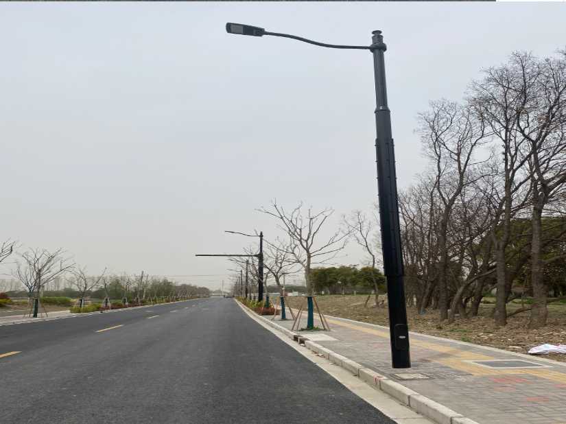 姜堰区上海综合杆 太阳能路灯工程